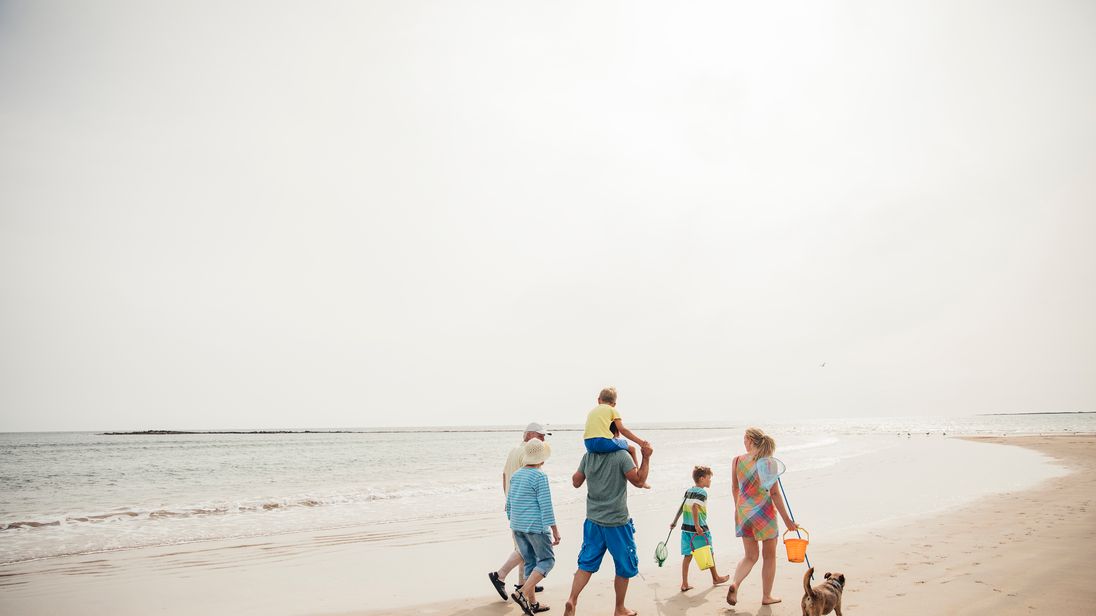 Rear view of a family walking along the beach with their dog while on holiday