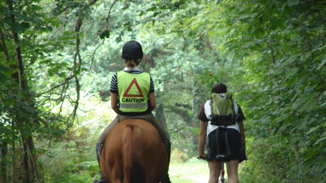 Cyclists told to 'be nice, say hi' to horse riders after collision