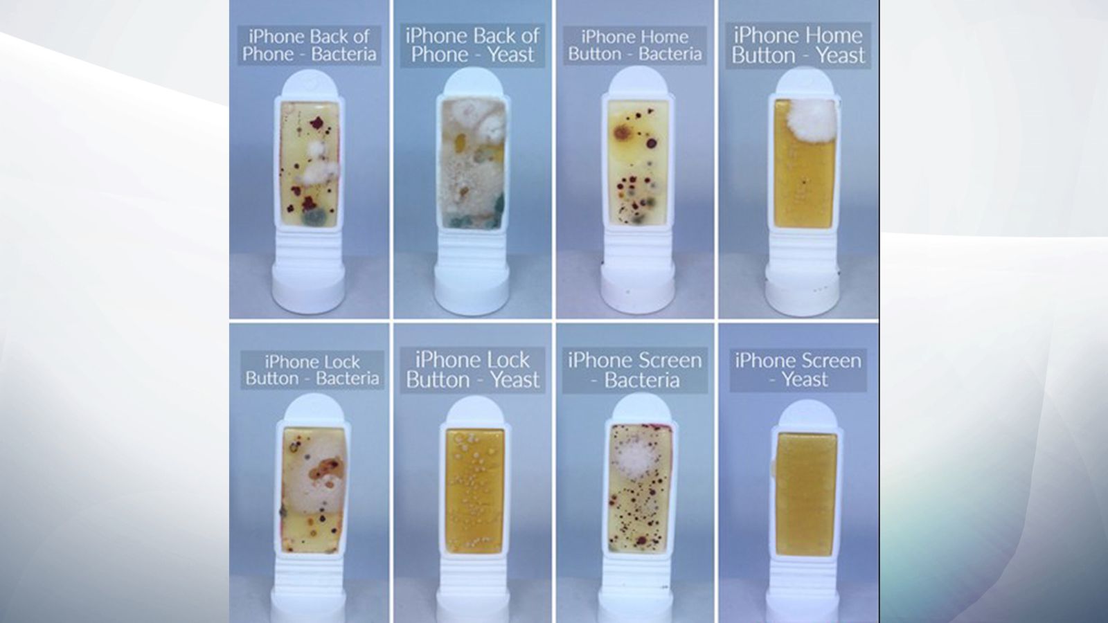 Smartphone screens found to be more than three times dirtier than a toilet seat UK News Sky News