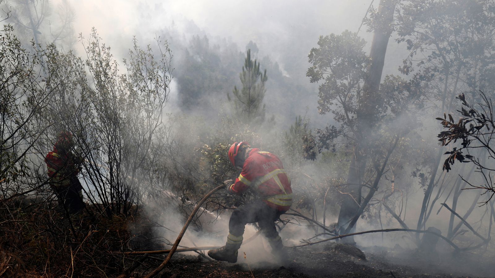 Portugal wildfire spreads towards tourist beach spots World News