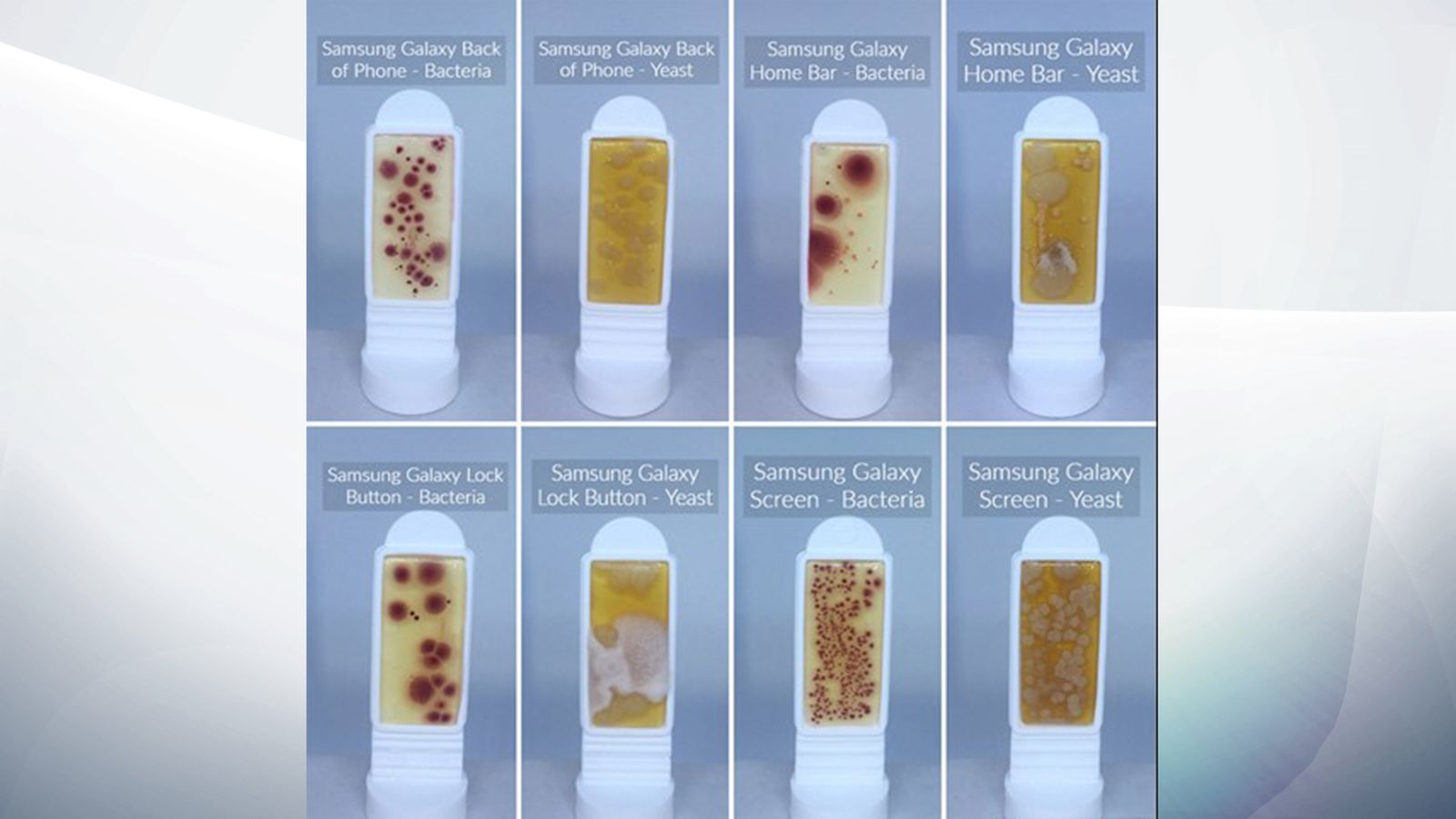 Smartphone screens found to be more than three times dirtier than a