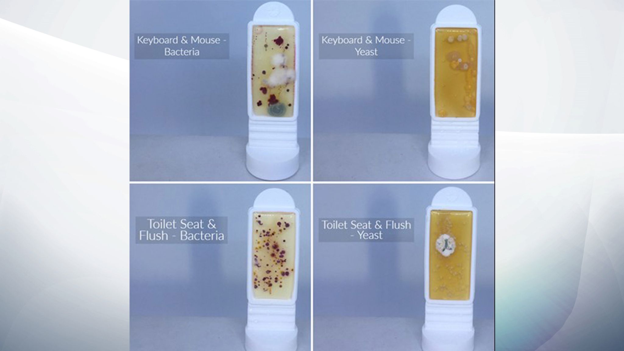 Smartphone screens found to be more than three times dirtier than a