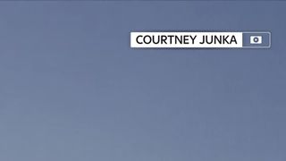 Air traffic controllers tried to encourage the pilot to land
