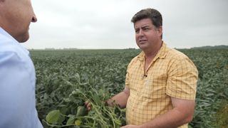 Soybean farmer Dave Walton has been hit hard by America&#39;s trade war with China 