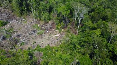 Isolated Amazon jungle tribe captured in drone footage | World News ...