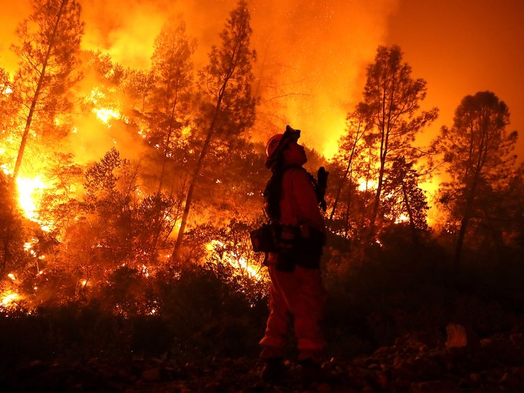 A firefighter monitors a back fire while battling the Medocino Complex fire near Lodoga, California