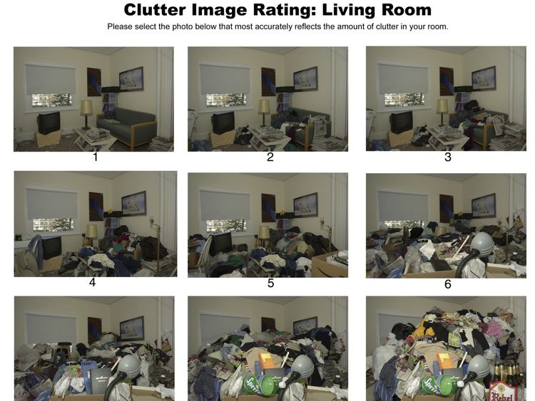 Clutter Image Rating Scale