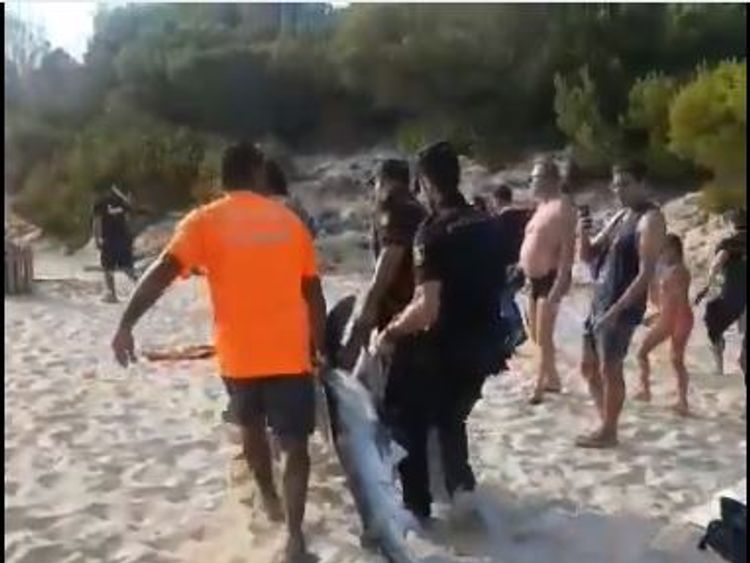 The shark was rescued by police, lifeguards and biologists but died. Pic: Salvament AquÃ tic Illes Balears