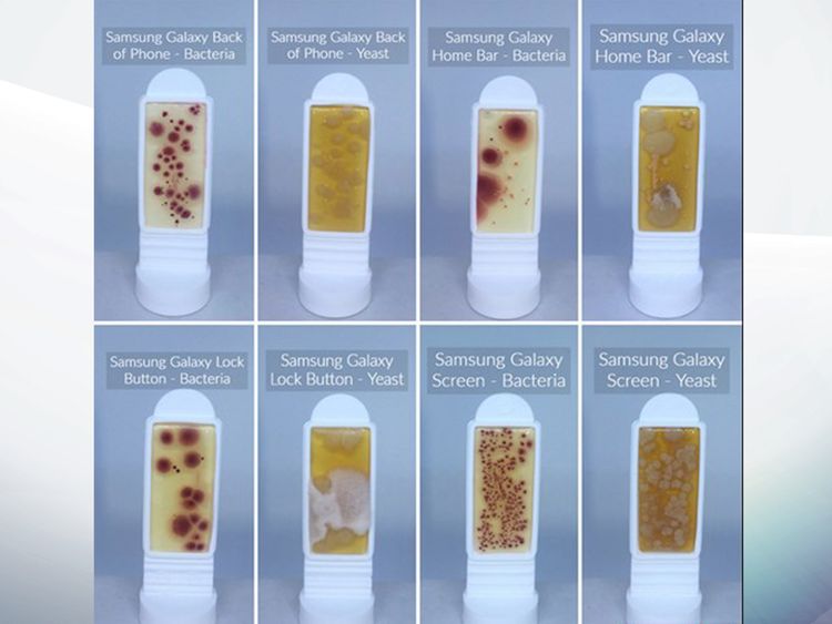 More than a third of respondents admitted having not cleaned their phone with wipes, cleaning fluid or a similar product