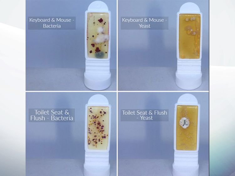 Researchers also tested a toilet seat and a keyboard and mouse