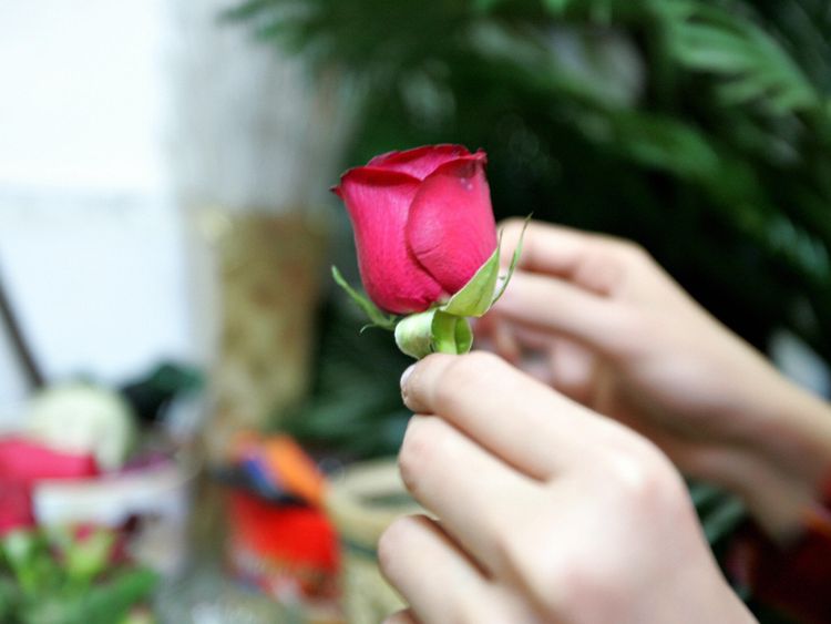   A seller makes a red rose ready to arrive to buy a gift for their Valentyn at a central Baghdad store on February 14, 2009. Red roses Sell ​​this year a prize for Valentine's Day, with a hint of optimism in the air next to the romance despite the fragility of Baghdad's better security. AFP PHOTO / SABAH ARAR (Photo Credit Must Read SABAH ARAR / AFP / Getty Images)
