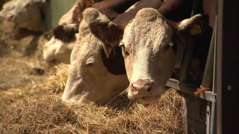 Rural residents fear serious crime is 'hidden by a picture-postcard view of the countryside'