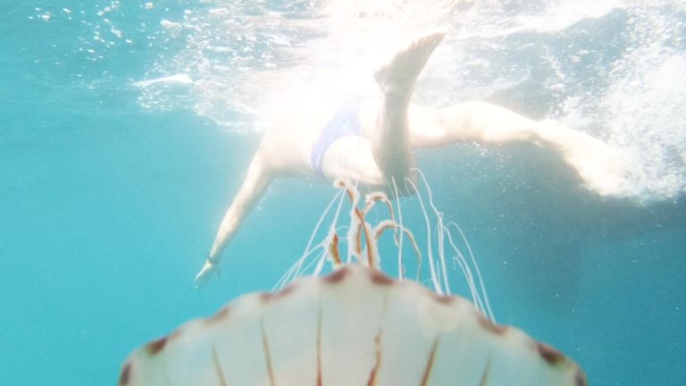 Ocean Campaigner and swimmer Lewis Pugh has reached Brighton on his epic 350 mile swimming challenge from Land&#39;s End to Dover.