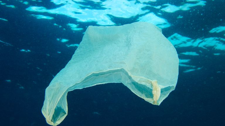 Plastic bags have been found dumped in our oceans