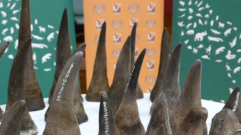 Sizeable haul of smuggled rhino horns seized in Malaysia