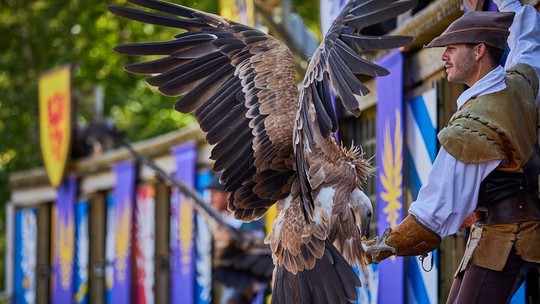 French Rooks Trained as Park Janitors