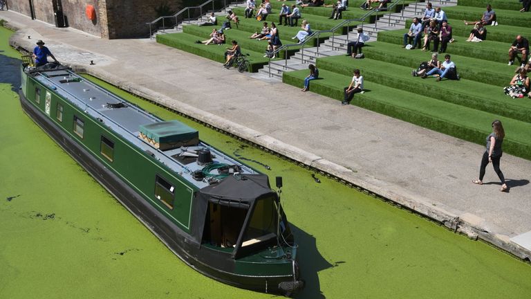 A canal boat passes through algae on Regent&#39;s Canal in London during the hot weather