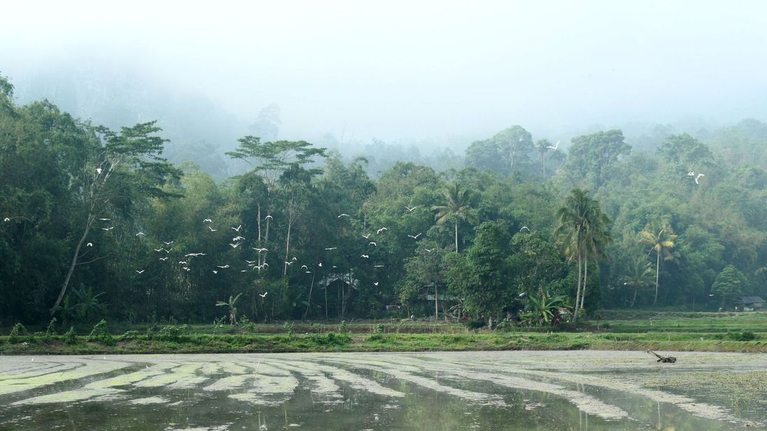 Indonesia Says Sulawesi Quake Caused Tsunami