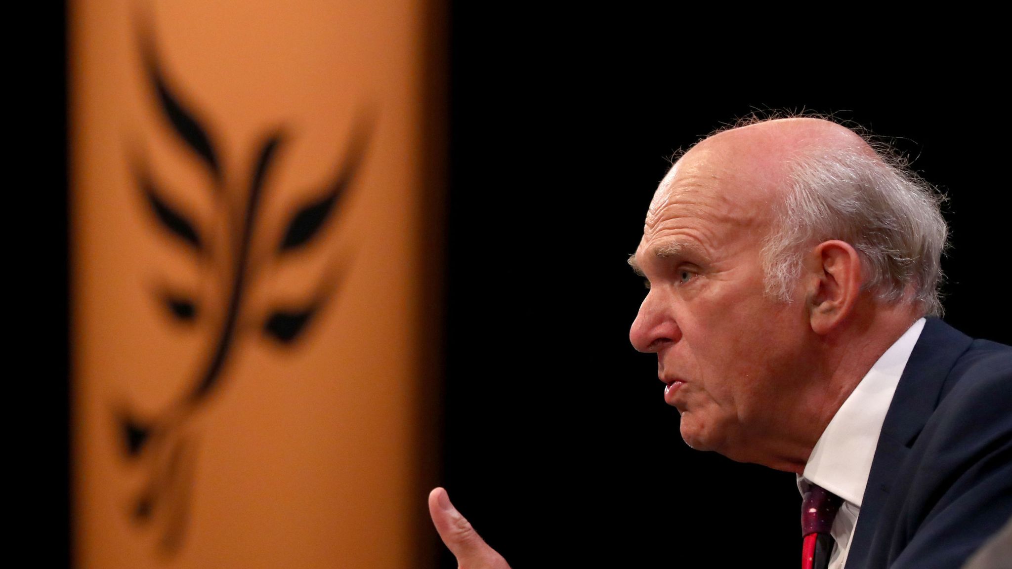 Sir Vince Cable insists Liberal Democrats haven't 'missed moment' to ...