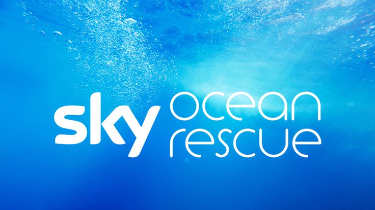 SKY OCEAN RESCUE