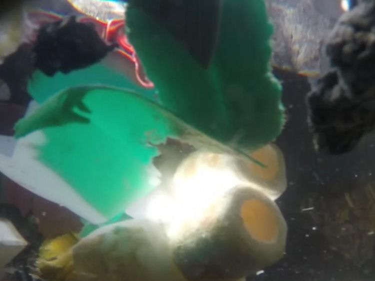 Massive boom will corral Pacific Ocean's plastic trash