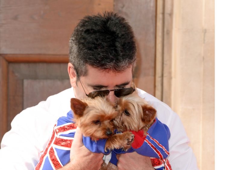 Simon Cowell with dogs Squiddly and Diddly at Britain's Got Talent photo call in 2014. Pic: David Fisher/REX/Shutterstock