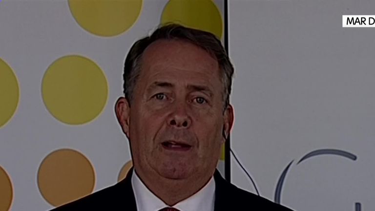 Liam Fox gives support to PM&#39;s Brexit plan
