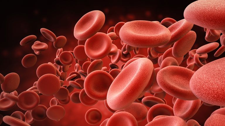 Blood factors obtained from young beings can improve late-life health in animals, the study reveals