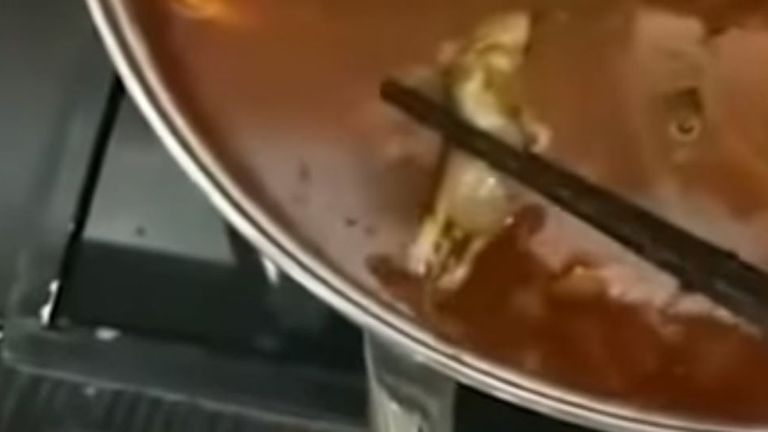 A boiled rodent was found in a pregnant woman&#39;s soup at popular Chinese chain Xiabu Xiabu