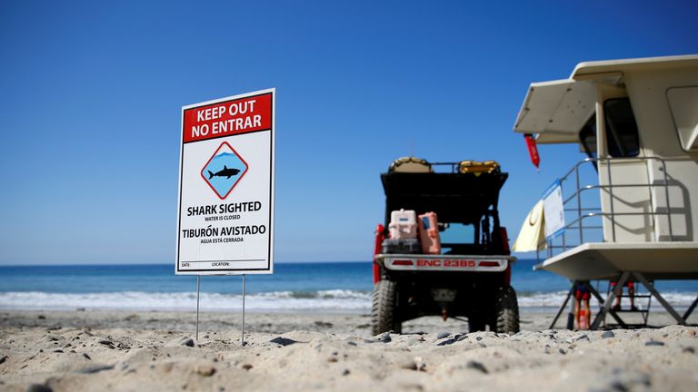 After clearing the ocean area of surfers and swimmers, lifeguards watch over the waters, off Beacon&#39;s Beach, after authorities said a young boy was attacked by a shark in Encinitas, California