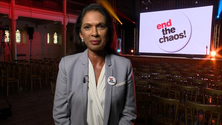 Campaigner Gina Miller denies speculation that she could be the next Lib Dems leader 