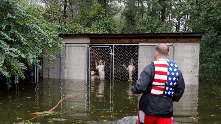 Dogs that were left caged by an owner who fled rising flood waters in the aftermath of Hurricane Florence, are rescued by avolunteer