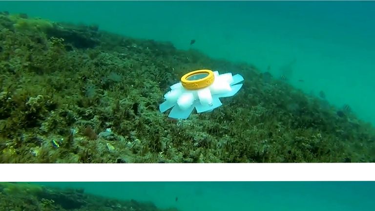 Photo issued by Dr Erik Engeberg of a robot jellyfish. According to scientists, the creation could act as a "guardian of the oceans"