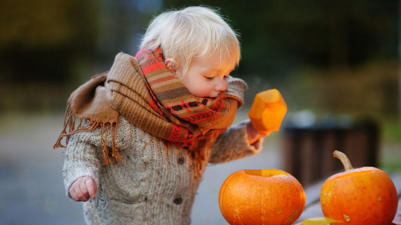 UK weather forecast Cold snap to continue into Halloween UK News