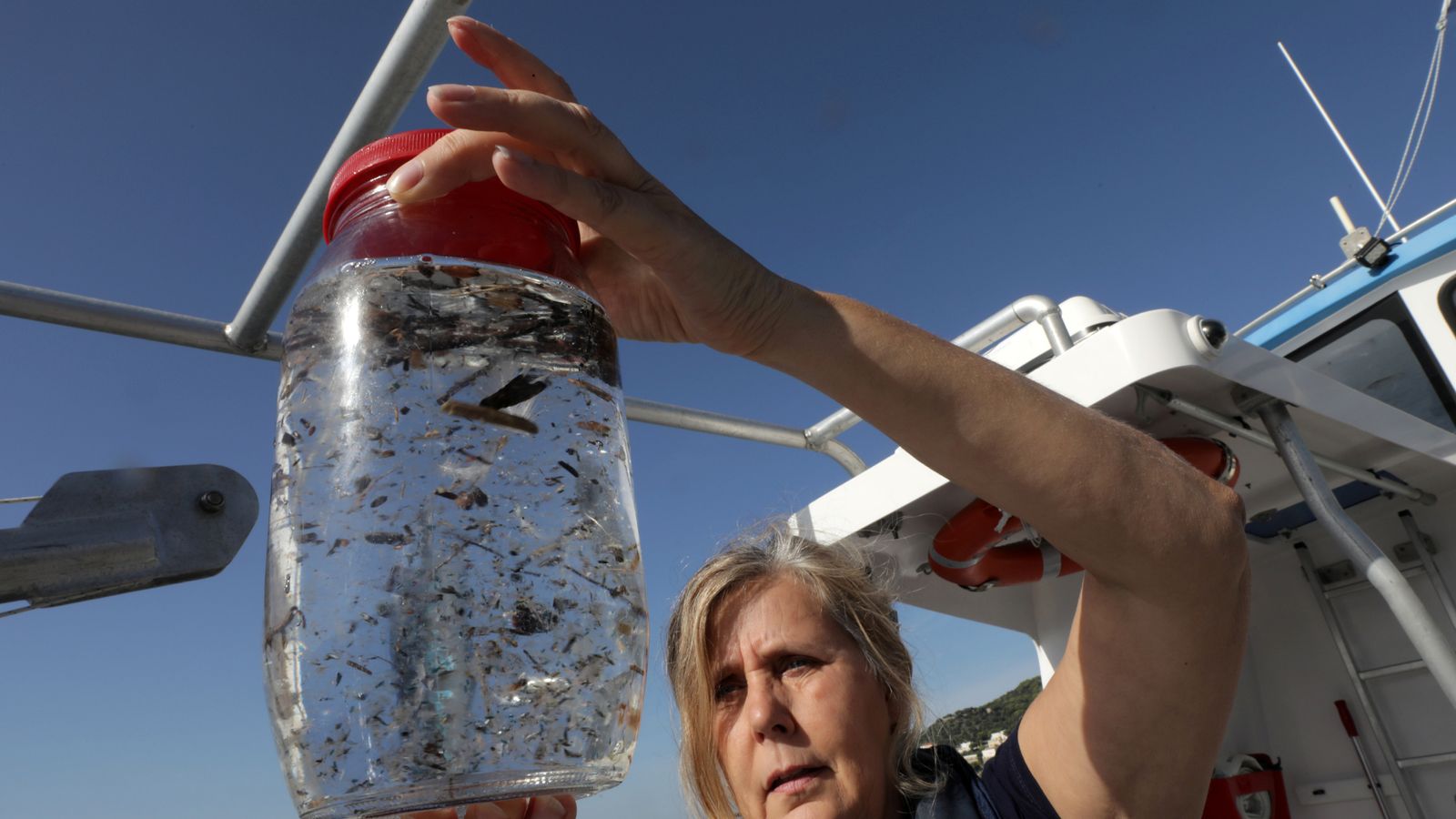 Humans Swallowing Tiny Plastic Particles In Their Food, Study Finds ...