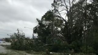 Trees and power lines down after Hurricane Michael came to Florida