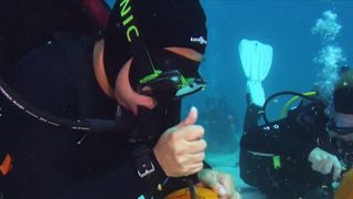 Halloween preparations get under way under the sea in Florida