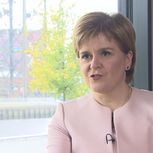 Sturgeon wants same Northern Ireland backstop deal for Scotland