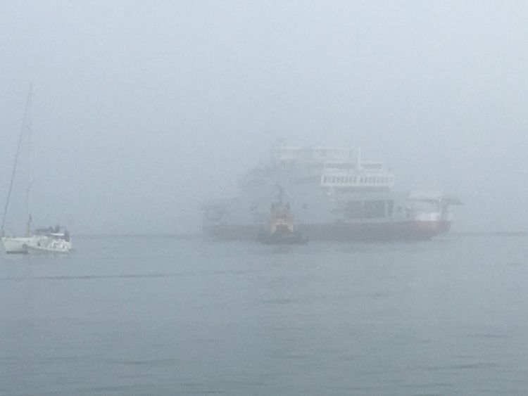 Ferry collides with yachts, runs aground near Isle of Wight