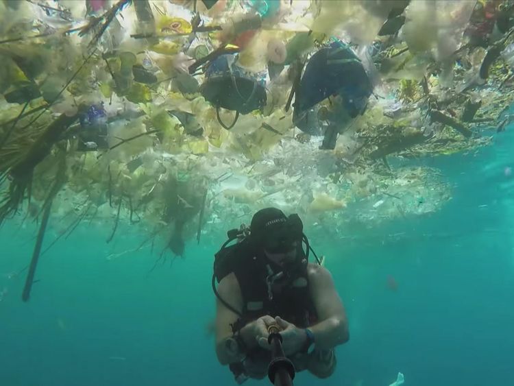 'I've filmed plastic in the oceans - it's horrific for sealife'