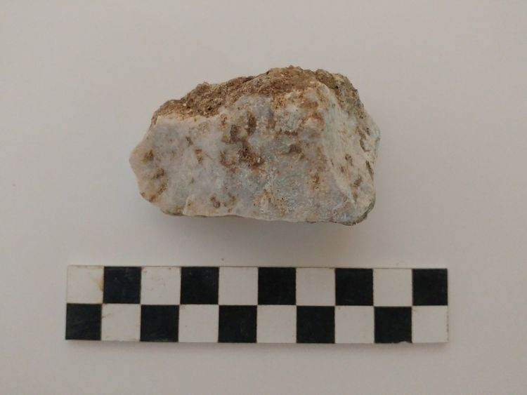 The rock that was inserted into the child's mouth in this so-called "vampire burial." Credit: David Pickel/Stanford University 