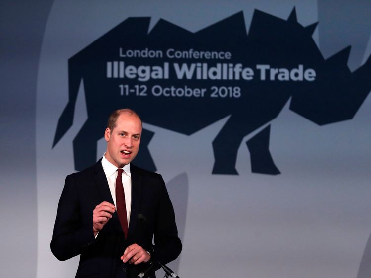 The Duke of Cambridge delivering his keynote speech at the 2018 Wildlife Trade in Wildlife Trade Conference, Battersea Evolution, London.