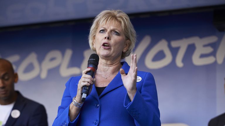 Anna Soubry said the campaign was &#39;winning the argument&#39;