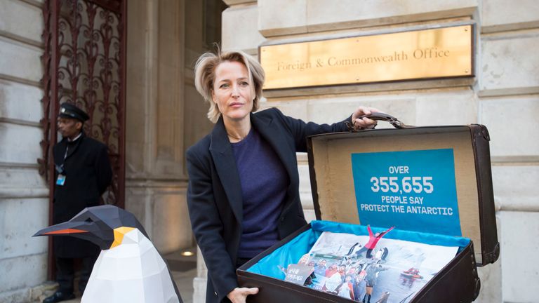 Antarctic sanctuary: Gillian Anderson to present 300,000