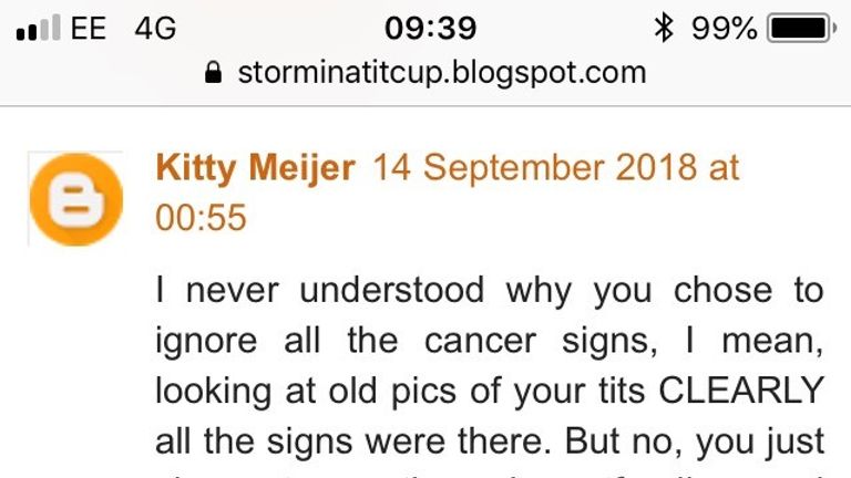 A troll called kitty Meijer attacked Ms Loughlin for delaying her cancer treatment to give birth