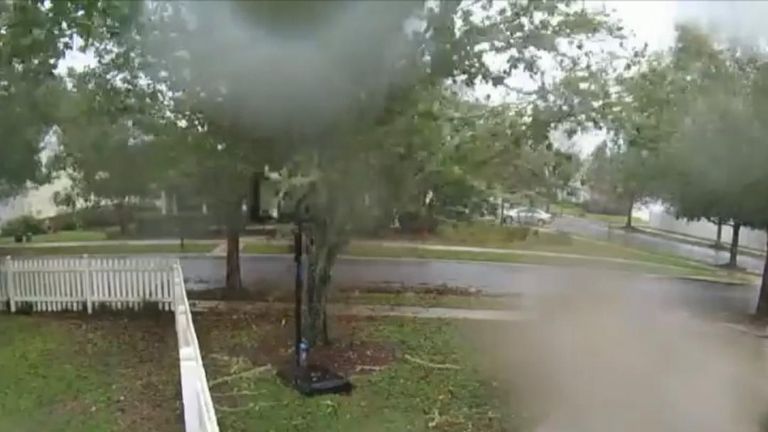 Tree is blown over in Florida as Hurricane Michael sweeps across state