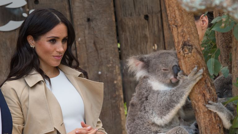 Meghan, Duchess of Sussex meets a Koala called Ruby during a visit to Taronga Zoo 