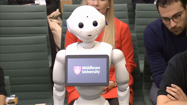 Pepper the robot answered questions from the education select committee 