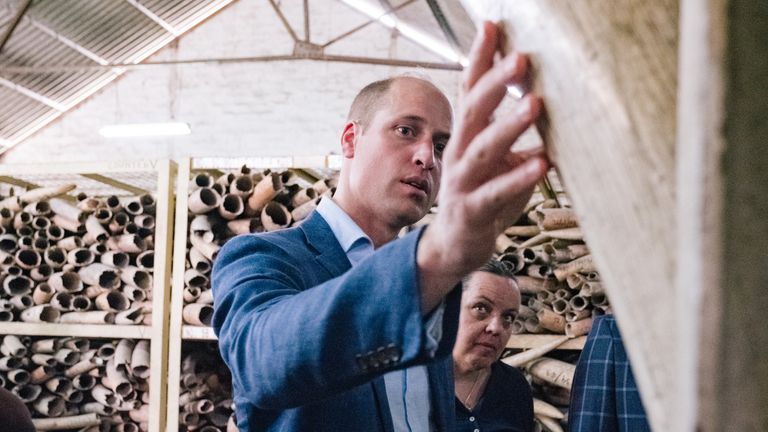 Prince William recently visited an ivory stockpile in Tanzania