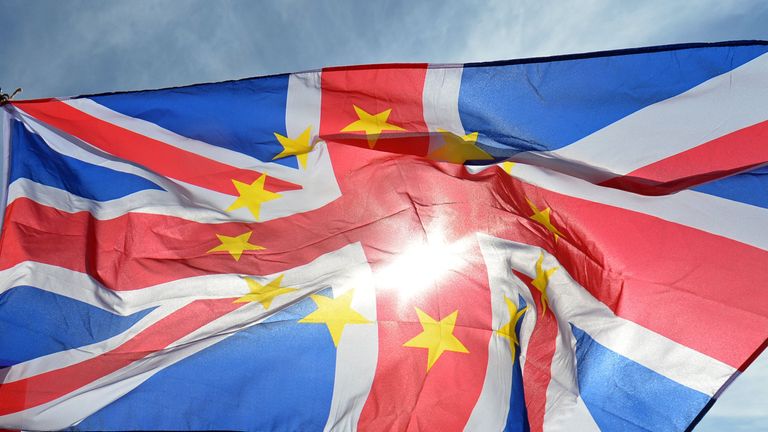 Photo of a flag flown by pro-EU protesters taking part in a march in London. 